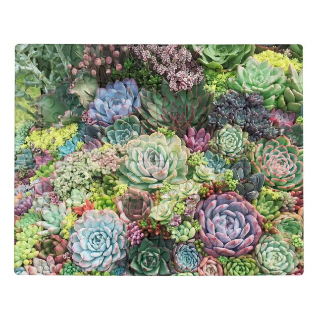 Colorful Succulent Garden Jigsaw Puzzle (Puzzle Horizontal)