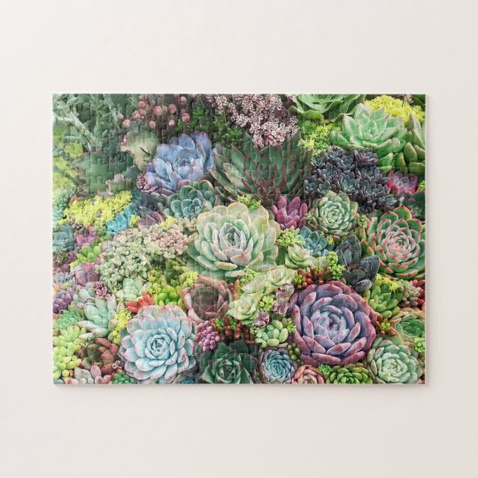 Colorful Succulent Garden Jigsaw Puzzle | Zazzle.com