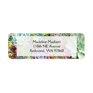 Colorful Succulent Garden Label