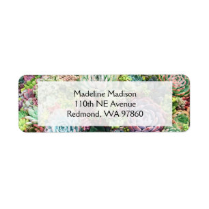 Colorful Succulent Garden Label