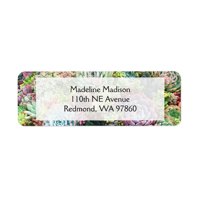 Colorful Succulent Garden Label (Front)