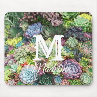 Colorful Succulent Garden Mouse Pad