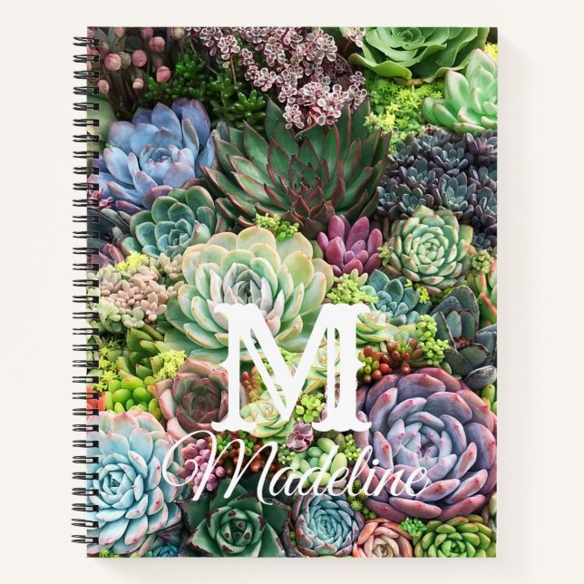 Colorful Succulent Garden Notebook (Front)