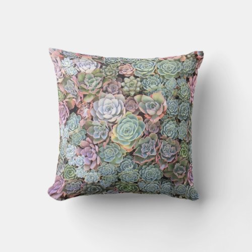 Colorful Succulent Garden Pillow