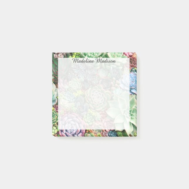 Colorful Succulent Garden Post-it Notes (Front)