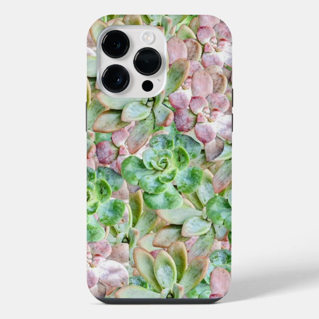 Colorful Succulent      Iphone Case (Back)