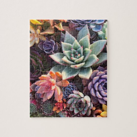 Colorful Succulent MixPuzzle Jigsaw Puzzle | Zazzle.com