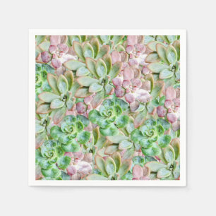 Colorful Succulent Napkins