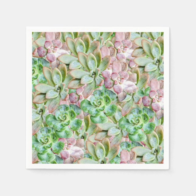 Colorful Succulent     Napkins (Front)