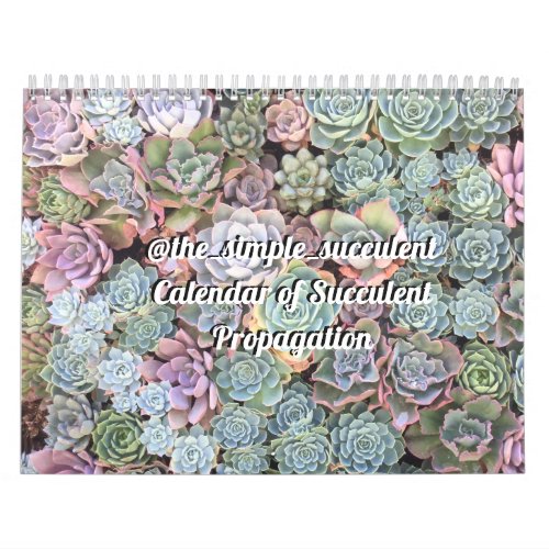 Colorful Succulent Propagation Calendar