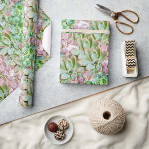 Colorful Succulent     Wrapping Paper