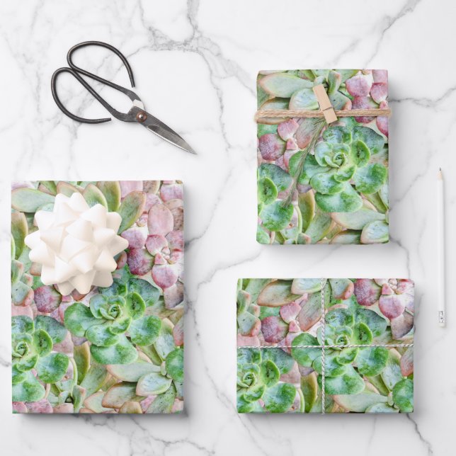Colorful Succulent     Wrapping Paper Sheets (Front)
