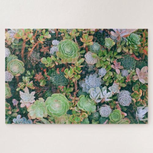 Colorful Succulents 1014 pieces Jigsaw Puzzle