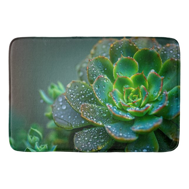 colorful succulents bath mat (Front)