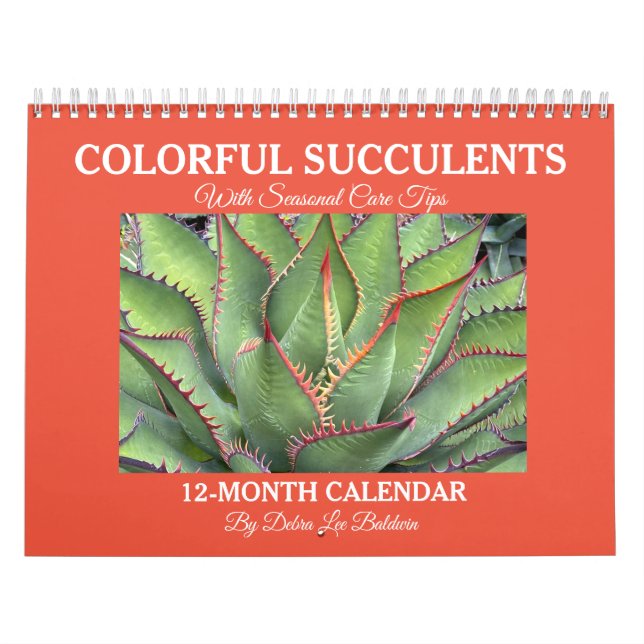 Colorful Succulents Calendar with Care Tips (Cover)