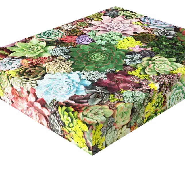 Colorful Succulents Canvas Print | Zazzle