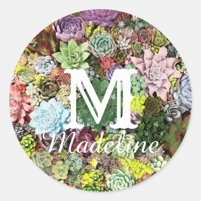 Colorful Succulents Classic Round Sticker (Front)