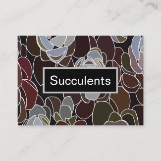 Colorful Succulents Floral Pattern