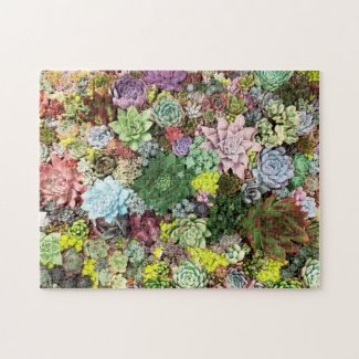 Colorful Succulents Jigsaw Puzzle