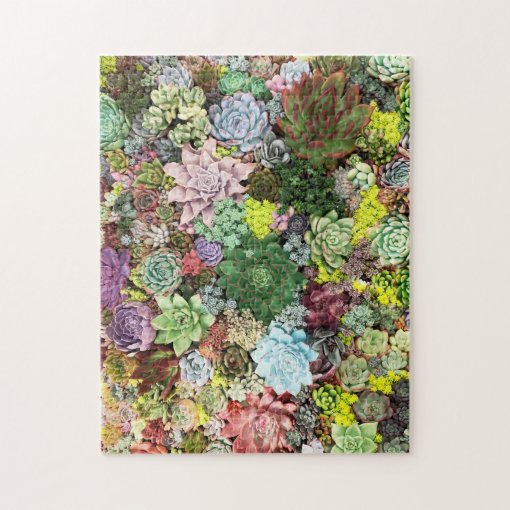 Colorful Succulents Jigsaw Puzzle | Zazzle