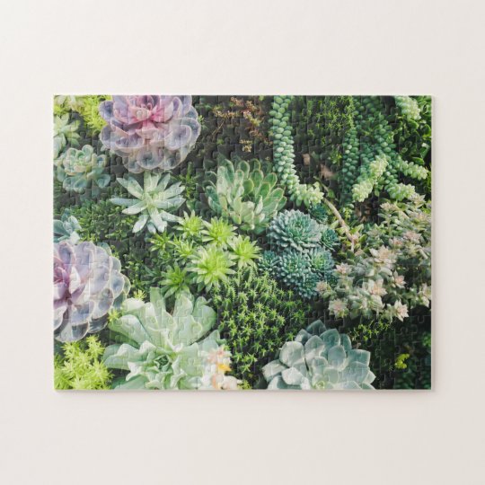 Colorful Succulents Jigsaw Puzzle | Zazzle.com