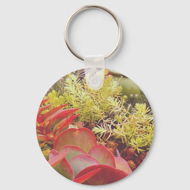 Colorful Succulents Keychain (Front)