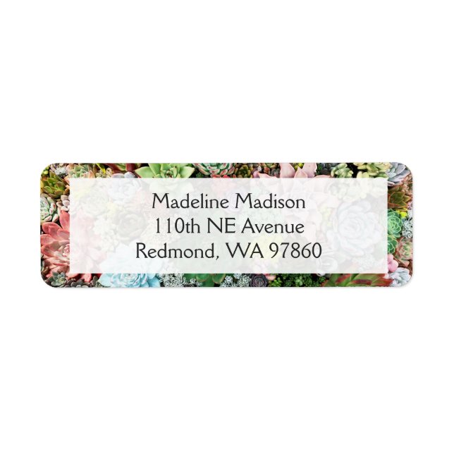 Colorful Succulents Label (Front)
