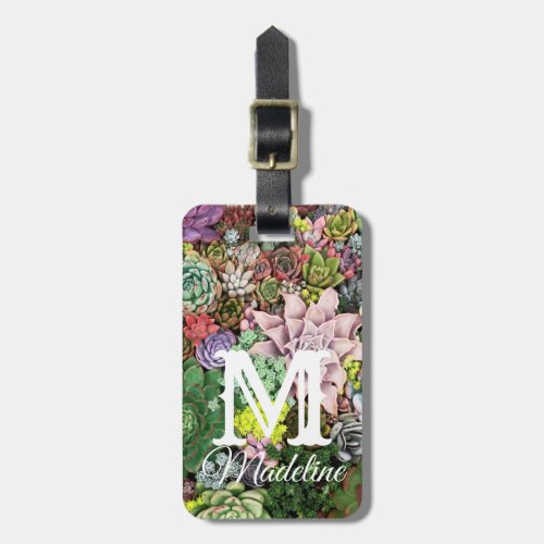 Colorful Succulents Luggage Tag