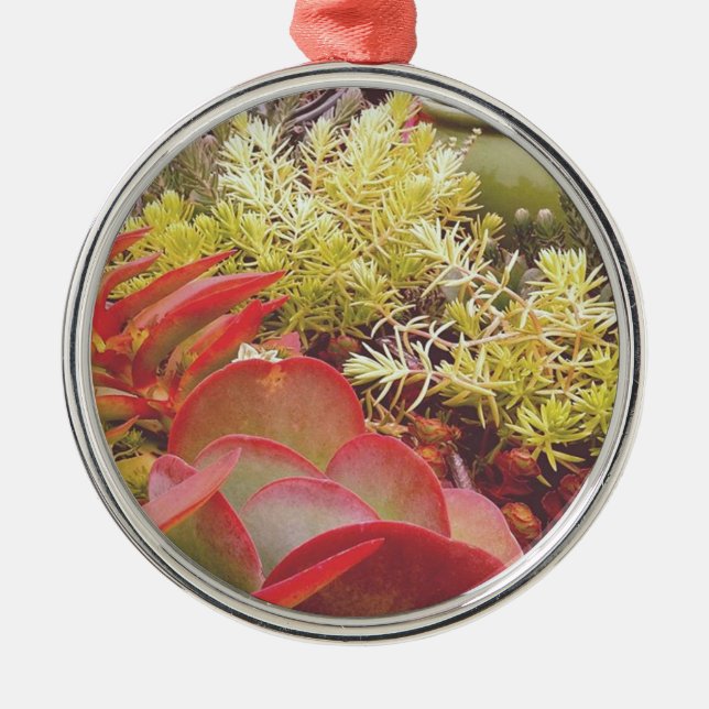 Colorful Succulents Metal Ornament (Front)