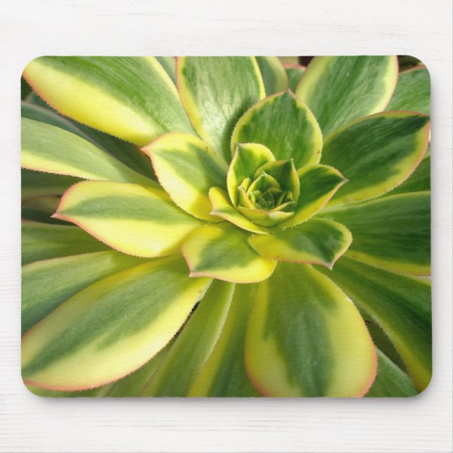 Colorful Succulents Mousepad #2 (Front)