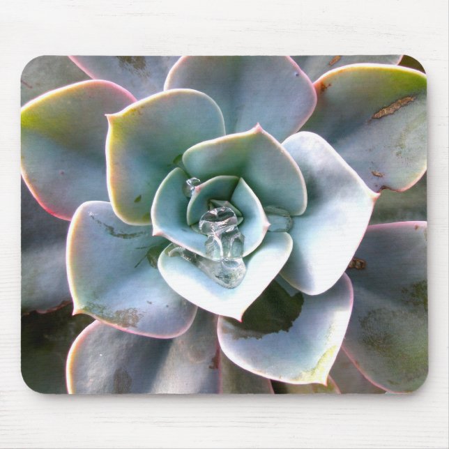 Colorful Succulents Mousepad #3 (Front)