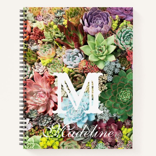 Colorful Succulents Notebook (Front)