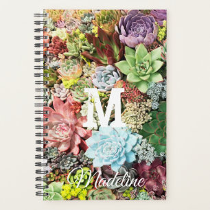 Colorful Succulents Planner