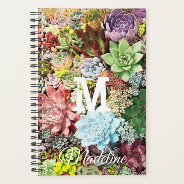 Colorful Succulents Planner (Front)