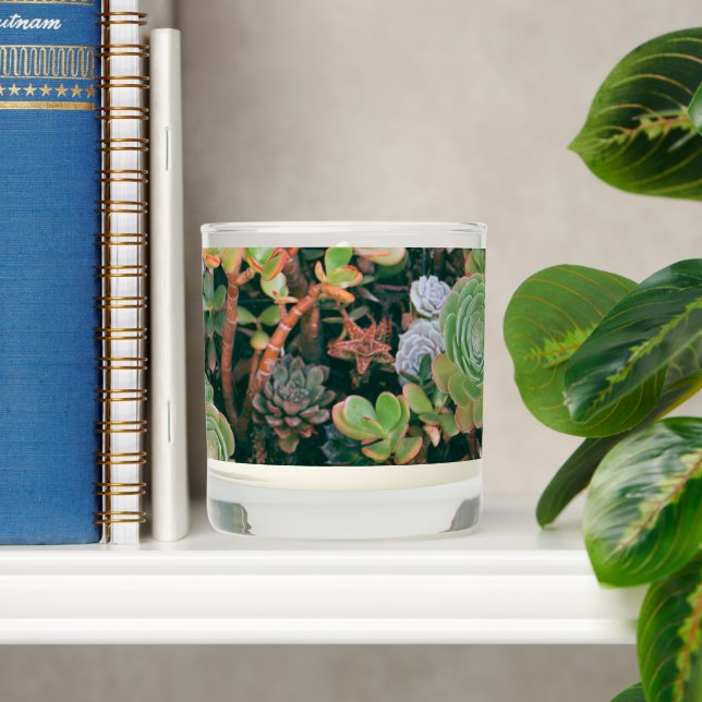 Colorful Succulents Scented Candle (Shelf)