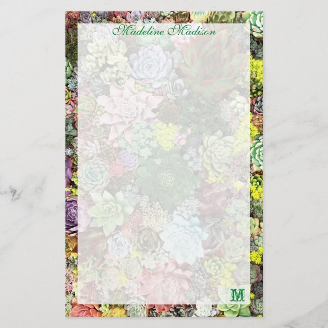 Colorful Succulents Stationery (Front)