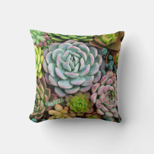 Colorful succulents Throw Pillow