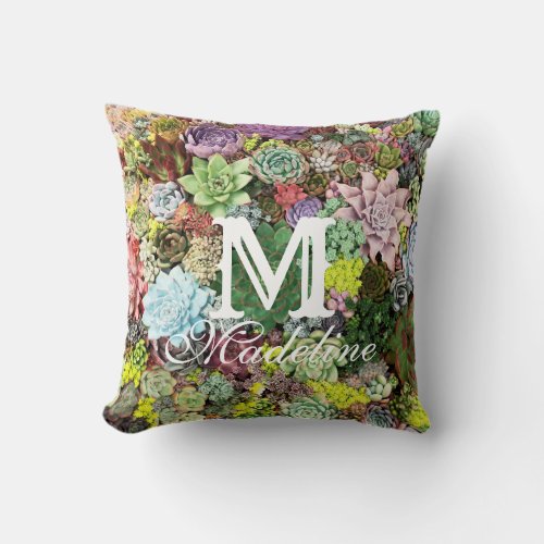 Colorful Succulents Throw Pillow