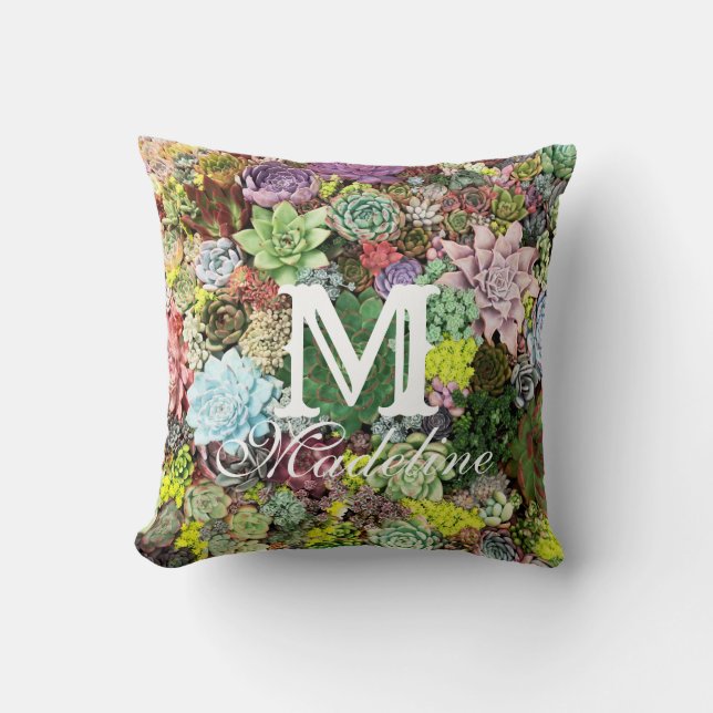 Colorful Succulents Throw Pillow (Front)
