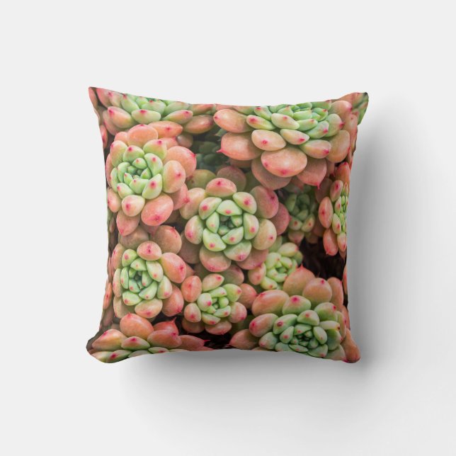Colorful succulents Throw Pillow (Front)
