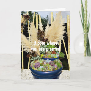 Colorful Succulents with Silver Grass Card