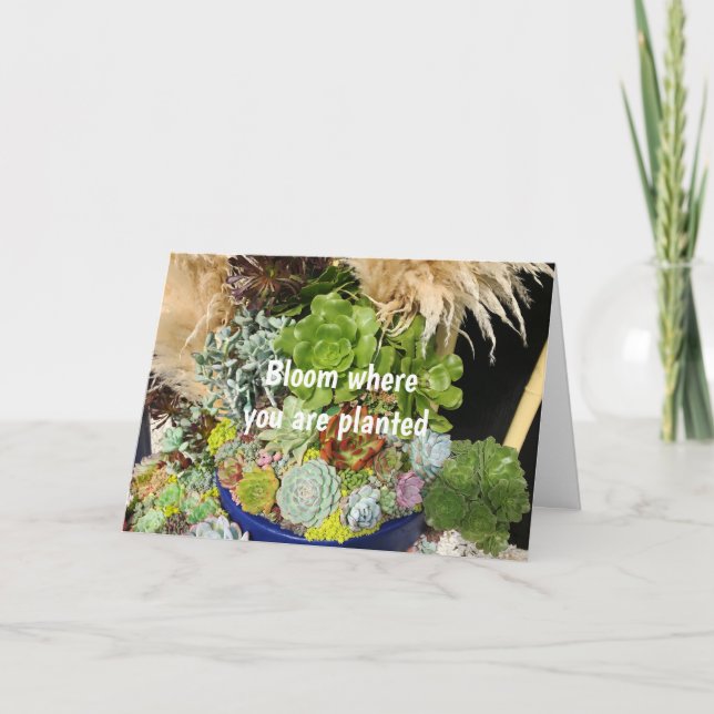 Colorful Succulents with Silver Grass Card (Front)