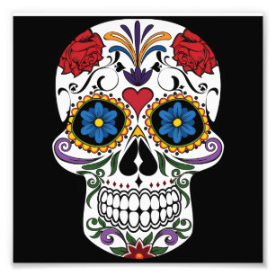 Dia De Los Muertos Sugar Skull Mexico Designs Cabo San Lucas Day of The Dead Celebration Floral Design Throw Pillow Multicolor 16x16 
