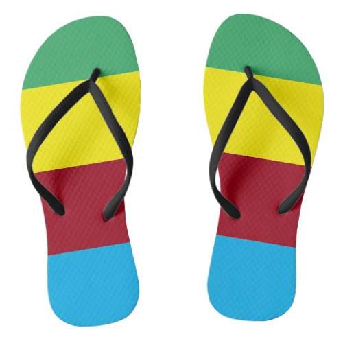 Colorful summer fun  flip flops