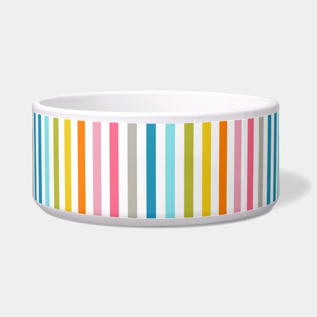 Colorful Summer Rainbow Stripes Bowl (Front)