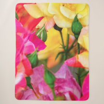 Colorful Summer Roses