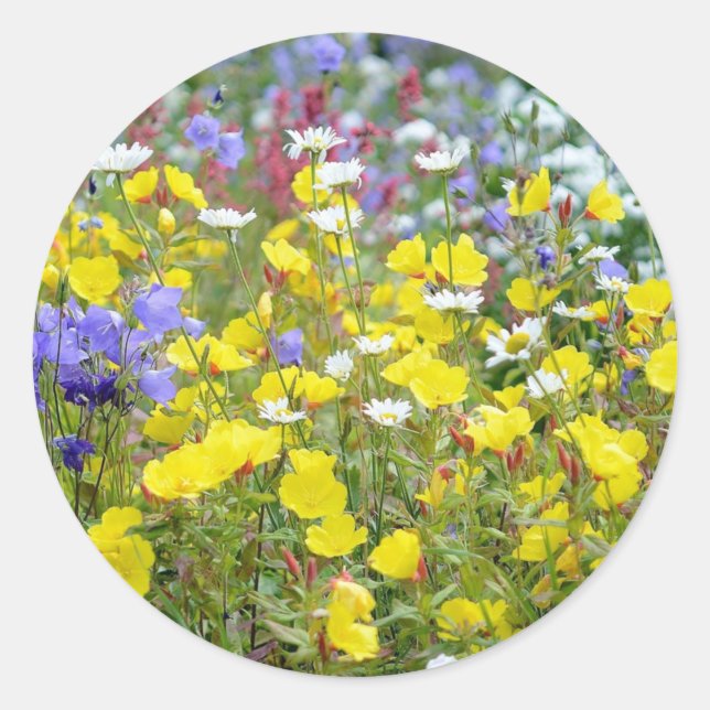 Colorful Summer Wildflowers Floral  Classic Round Sticker (Front)