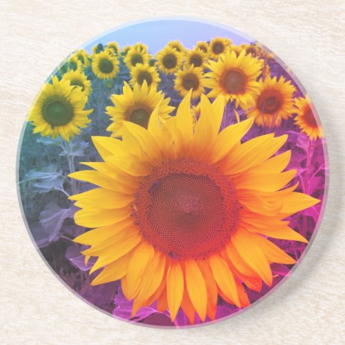 Colorful Sunflower Field Harvest Coaster