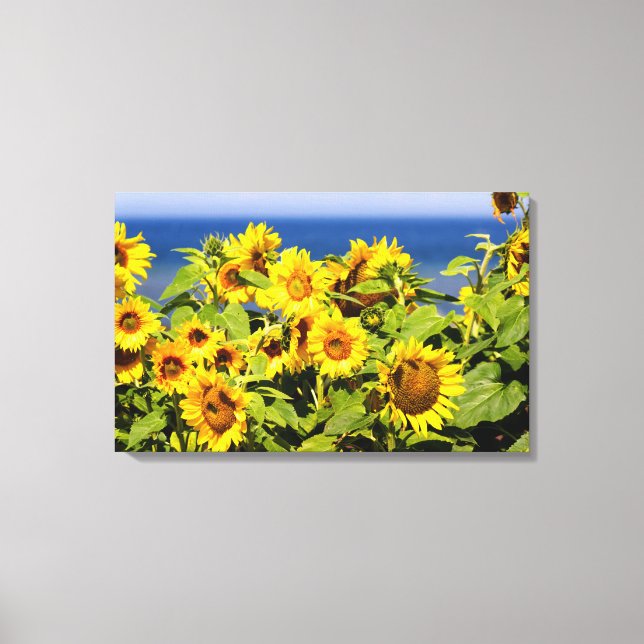 Colorful sunflower in bloom canvas print (Front)