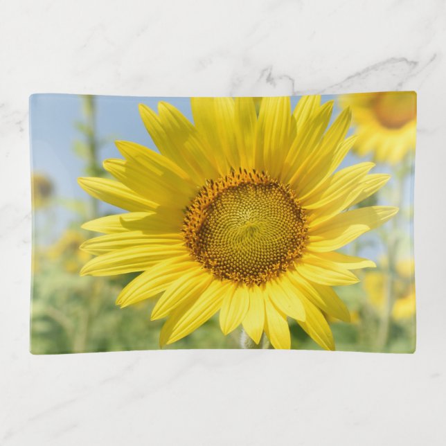 colorful Sunflower trinket tray (Front)